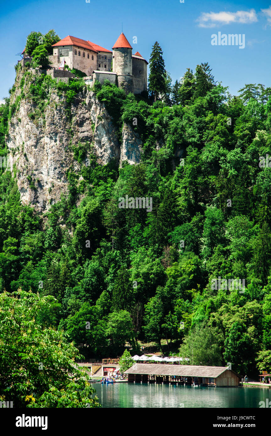 Burg von Bled, Bled See Stockfoto