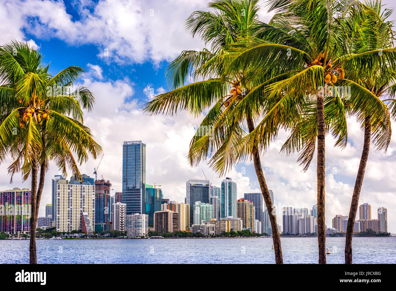 Tropischen downtown Skyline von Miami, Florida, USA. Stockfoto