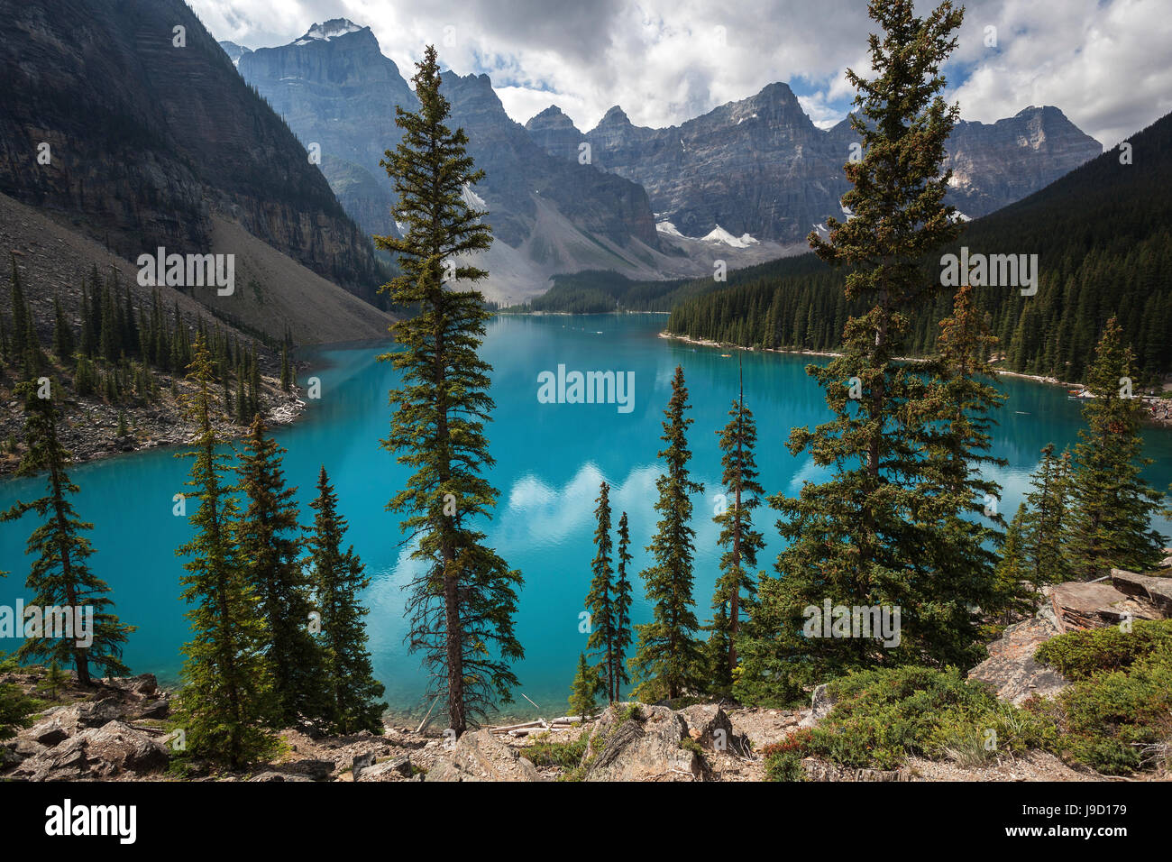 Lake Moraine, hinten Wenkchemna Range Mountains, Banff Nationalpark, Rocky Mountains, Alberta, Kanada Stockfoto