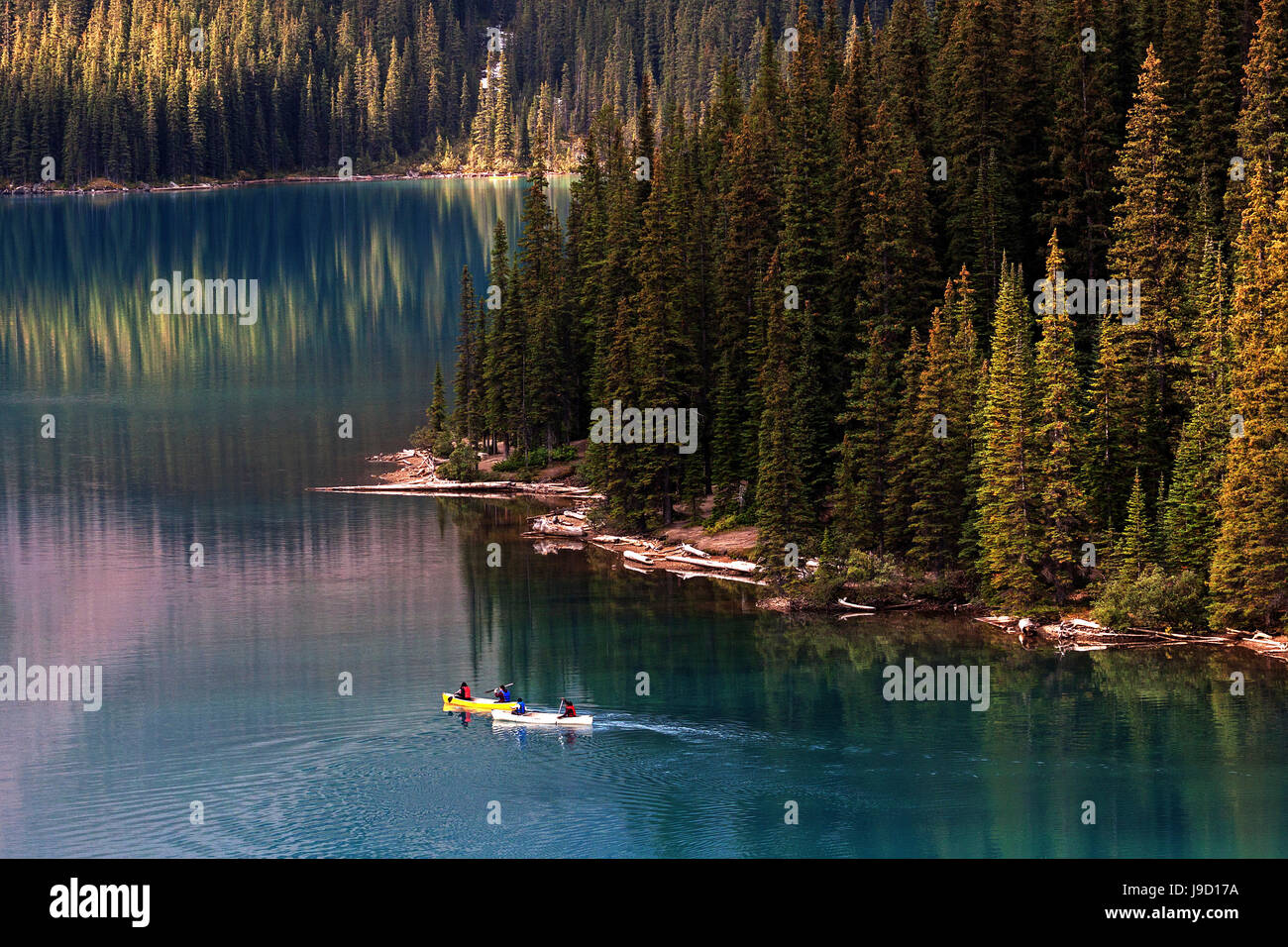 Kanuten auf Moraine Lake, Banff Nationalpark, Rocky Mountains, Alberta, Kanada Stockfoto