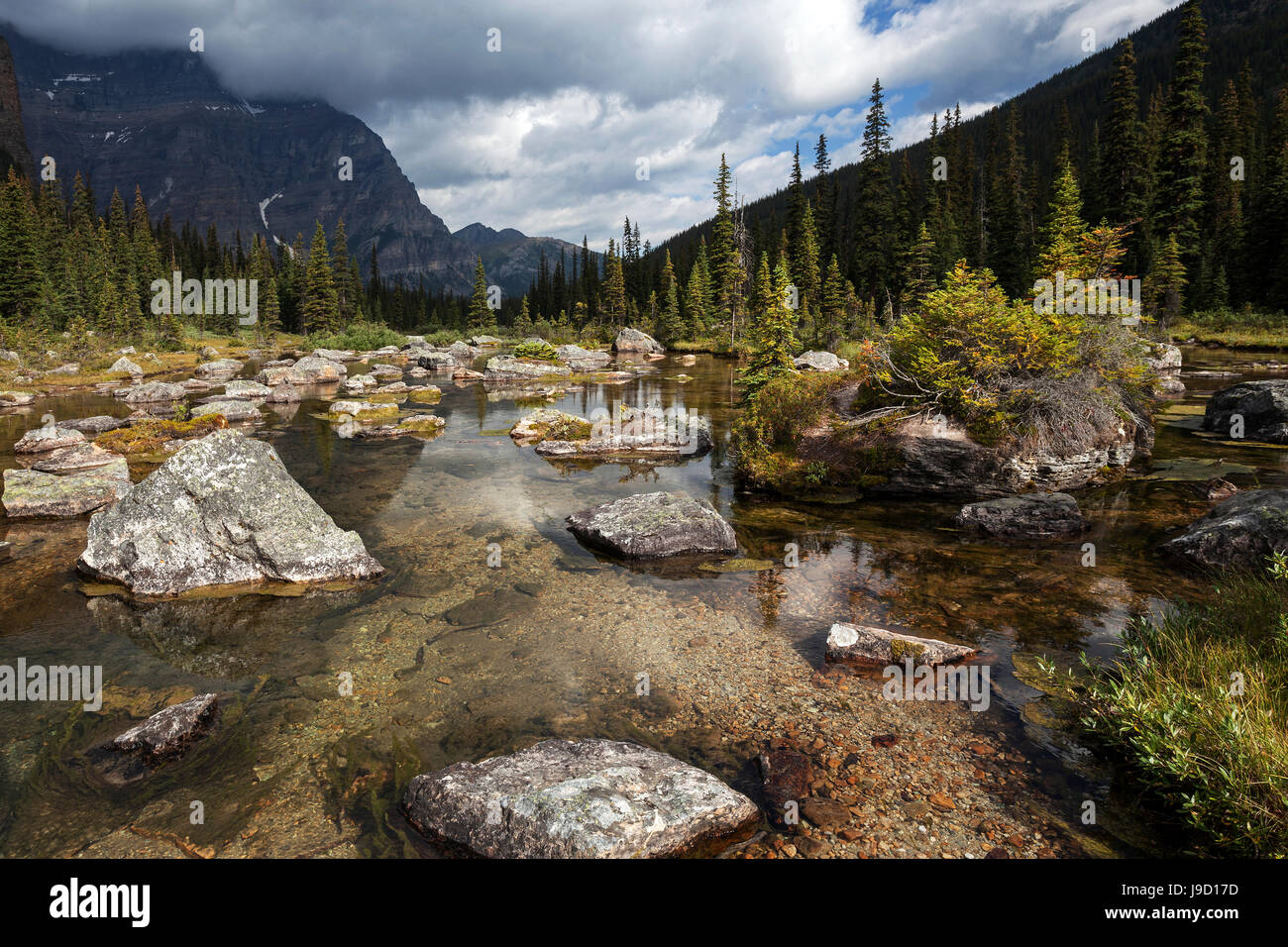 Babel Creek in der Nähe von Lake Moraine, Banff Nationalpark, Rocky Mountains, Alberta, Kanada Stockfoto