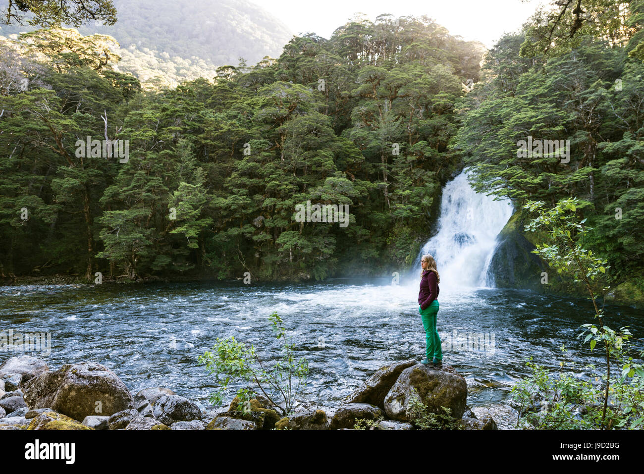Weibliche Wanderer stehend auf Stein, Wasserfall im Wald, Iris Burn fällt, Kepler Tack, Fjordland National Park, Southland Stockfoto