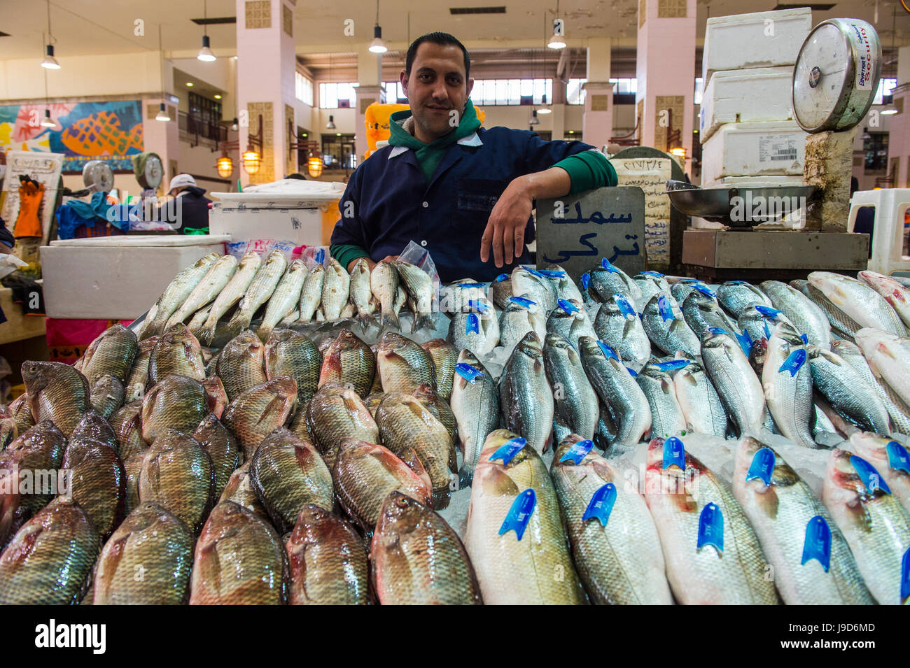 Lokale Fischer zeigt seinen Fisch, Fischmarkt, KuwaitStadt, Kuwait