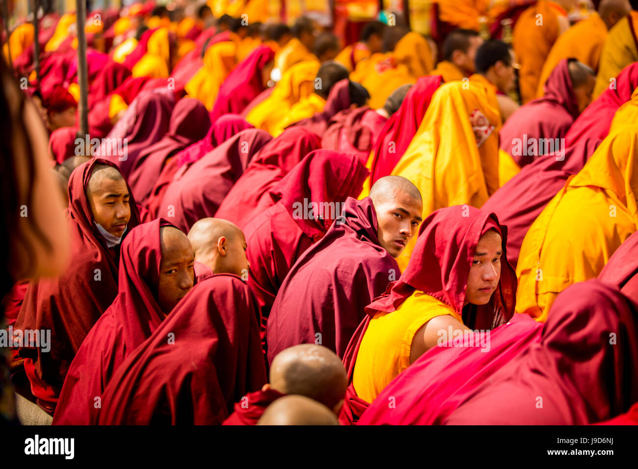 Buddhistische Mönche beten um Tempel Bouddha (Bodhnath), Kathmandu, Nepal, Asien Stockfoto