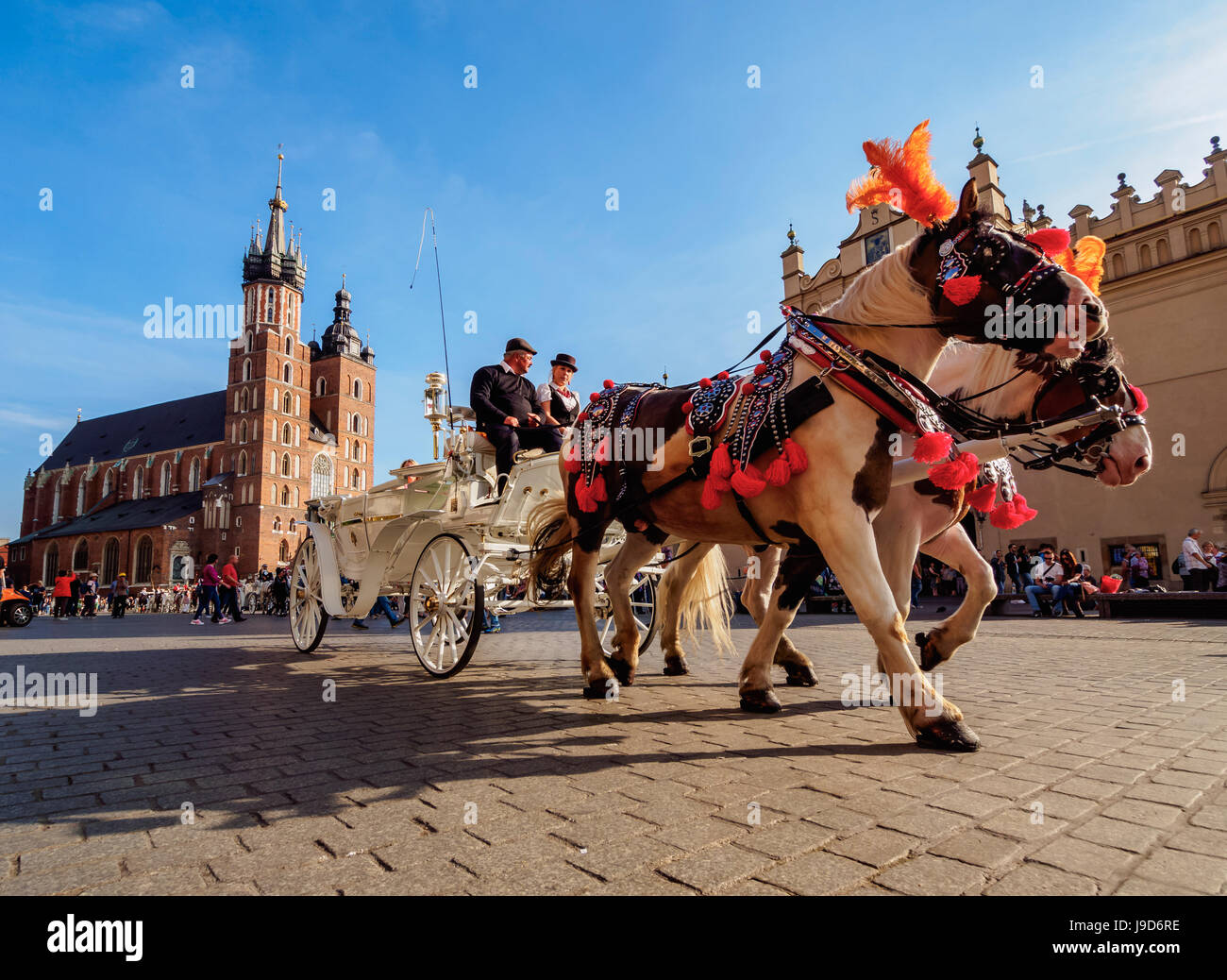 Pferdekutsche mit St. Mary Basilica im Hintergrund, Hauptmarkt, Krakau, weniger Polen Woiwodschaft, Polen, Europa Stockfoto