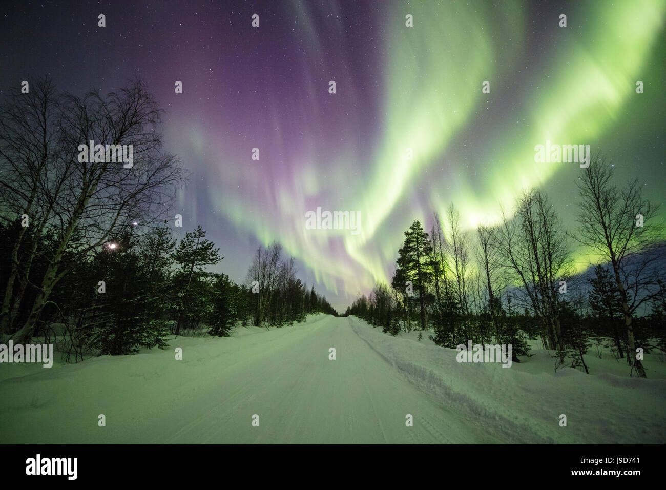 Bunte Lichter der Nordlichter (Aurora Borealis) und Sternenhimmel auf die verschneiten Wälder, Levi, Sirkka, Kittilä, Finnland Stockfoto