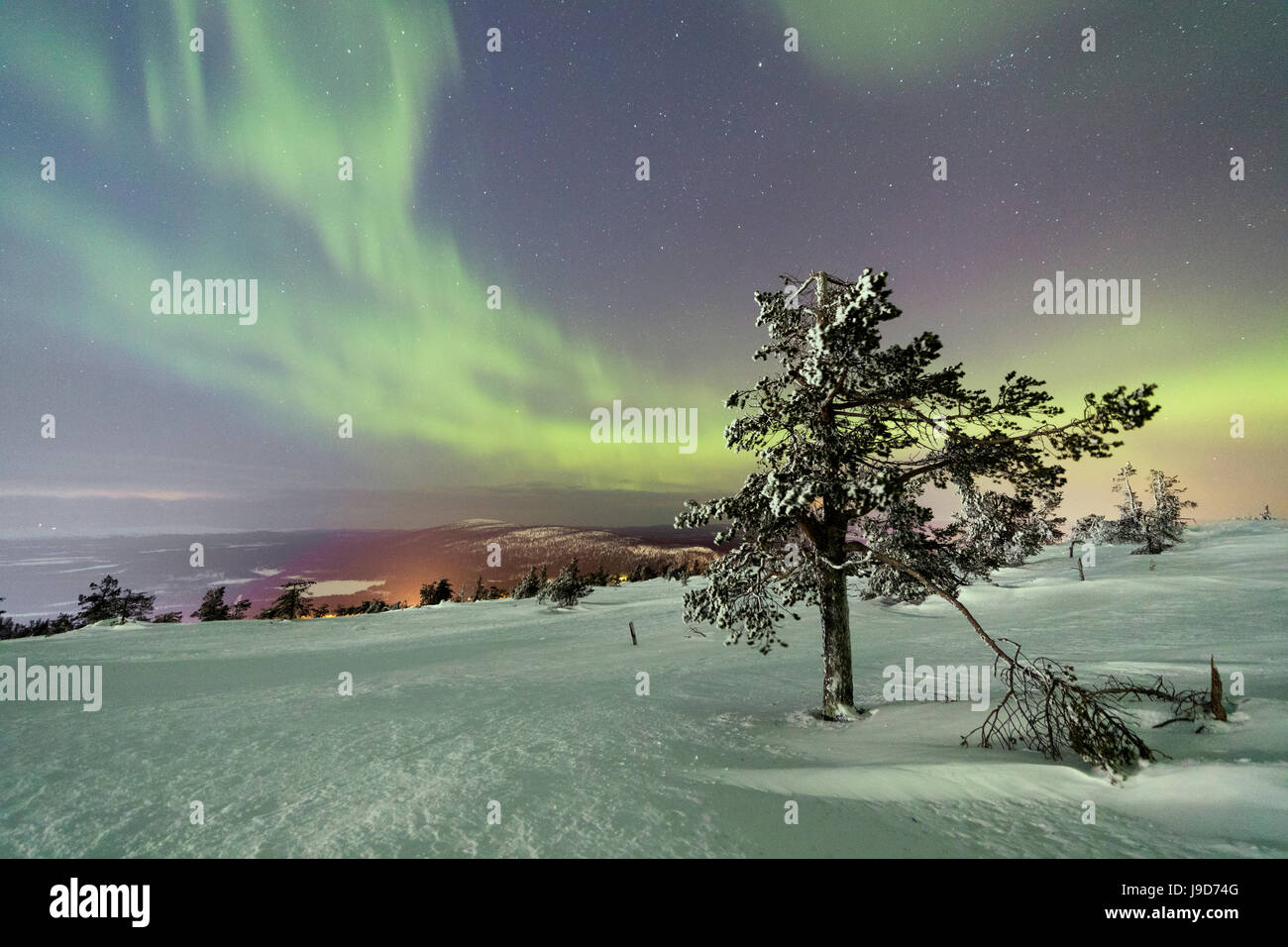 Nordlichter (Aurora Borealis) und Sternenhimmel auf die verschneite Landschaft und den gefrorenen Bäumen, Levi, Sirkka, Kittilä, Finnland Stockfoto