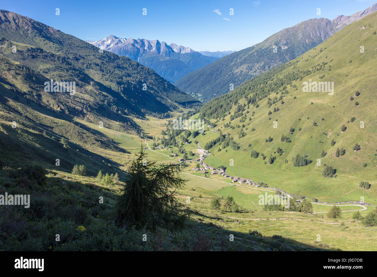 Die typischen alpinen Dorf der Fall Di Viso inmitten grüner Wiesen, Camonica-Tal, Provinz von Brescia, Lombardei, Italien Stockfoto