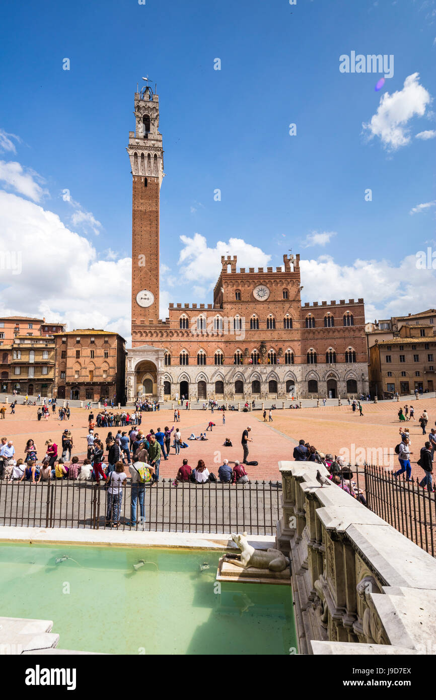 Piazza del Campo mit dem alten Palazzo Pubblico, Torre del Mangia und der Brunnen Fonte Gaia, Siena, UNESCO, Toskana, Italien Stockfoto