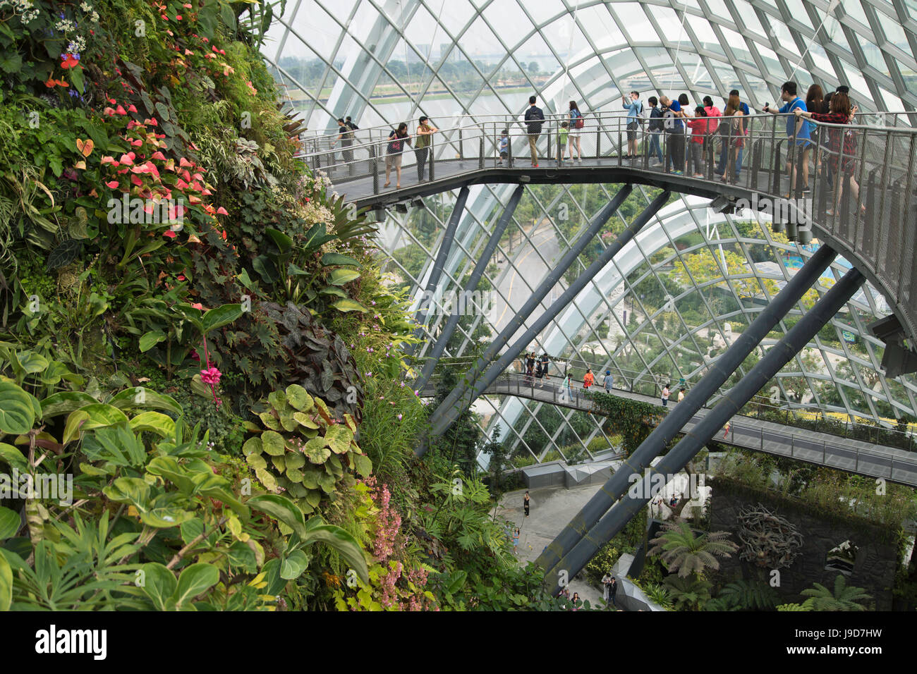 Nebelwald Gewächshaus im Garten von Bay, Singapur, Südostasien, Asien Stockfoto