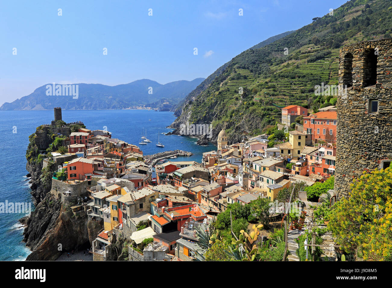Vernazza, italienische Riviera, Cinque Terre, UNESCO World Heritage Site, Ligurien, Italien, Europa Stockfoto