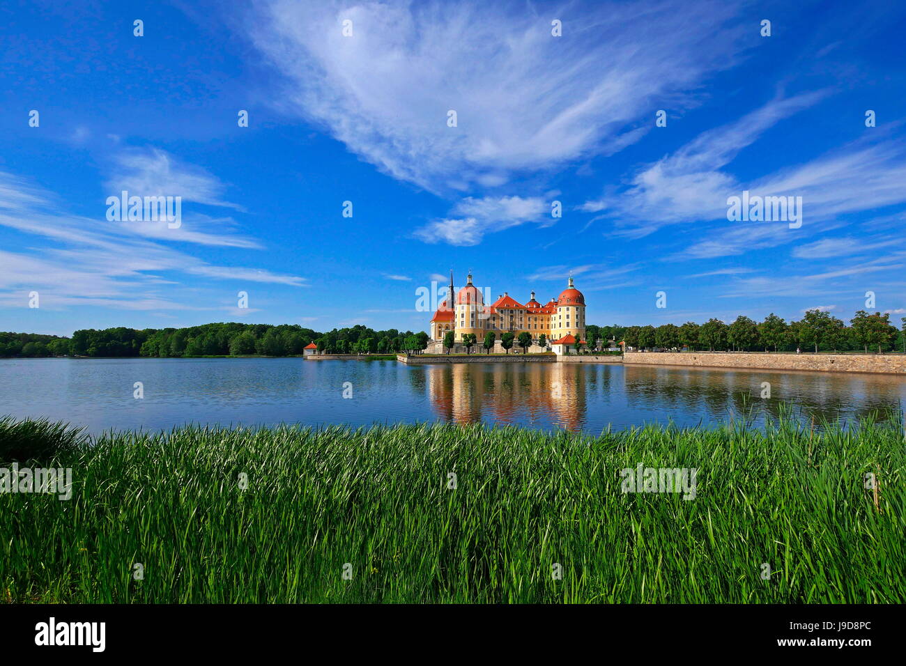 Schloss Moritzburg in der Nähe von Dresden, Sachsen, Deutschland, Europa Stockfoto