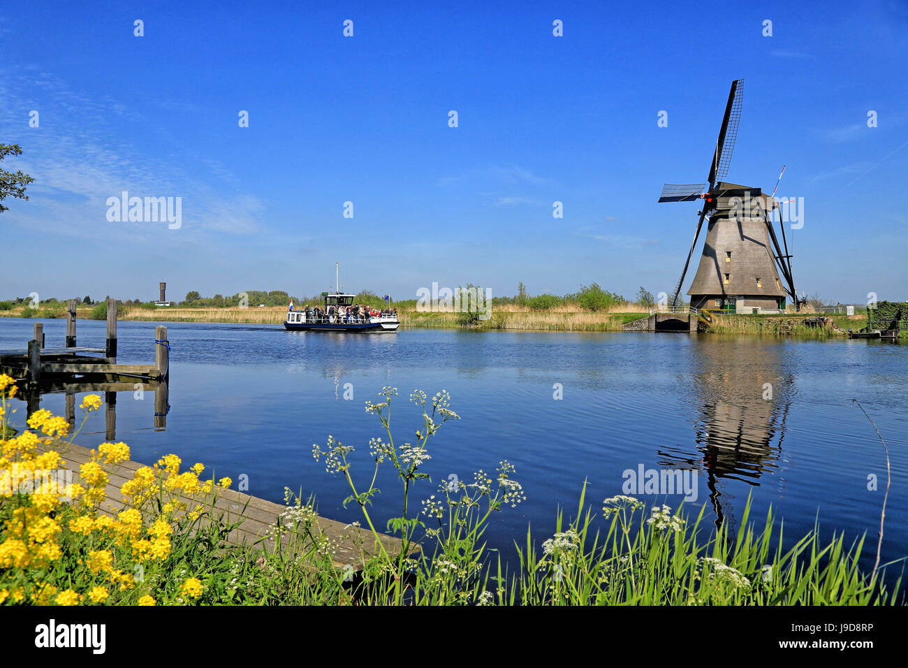 Windmühle in Kinderdijk, UNESCO-Weltkulturerbe, Süd-Holland, Niederlande, Europa Stockfoto