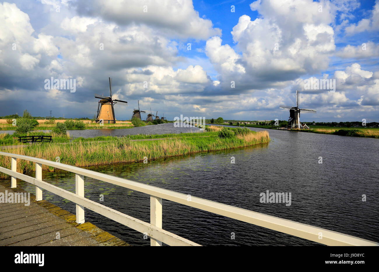 Windmühlen in Kinderdijk, UNESCO-Weltkulturerbe, Süd-Holland, Niederlande, Europa Stockfoto