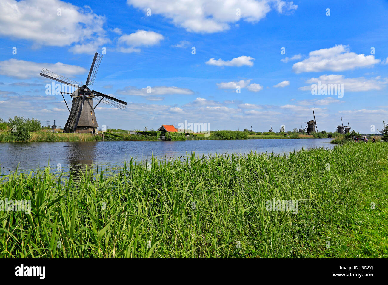 Windmühlen in Kinderdijk, UNESCO-Weltkulturerbe, Süd-Holland, Niederlande, Europa Stockfoto