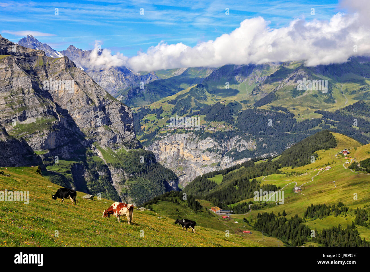 Blick von der kleinen Scheidegg, Mürren und Lauterbrunnen Tal