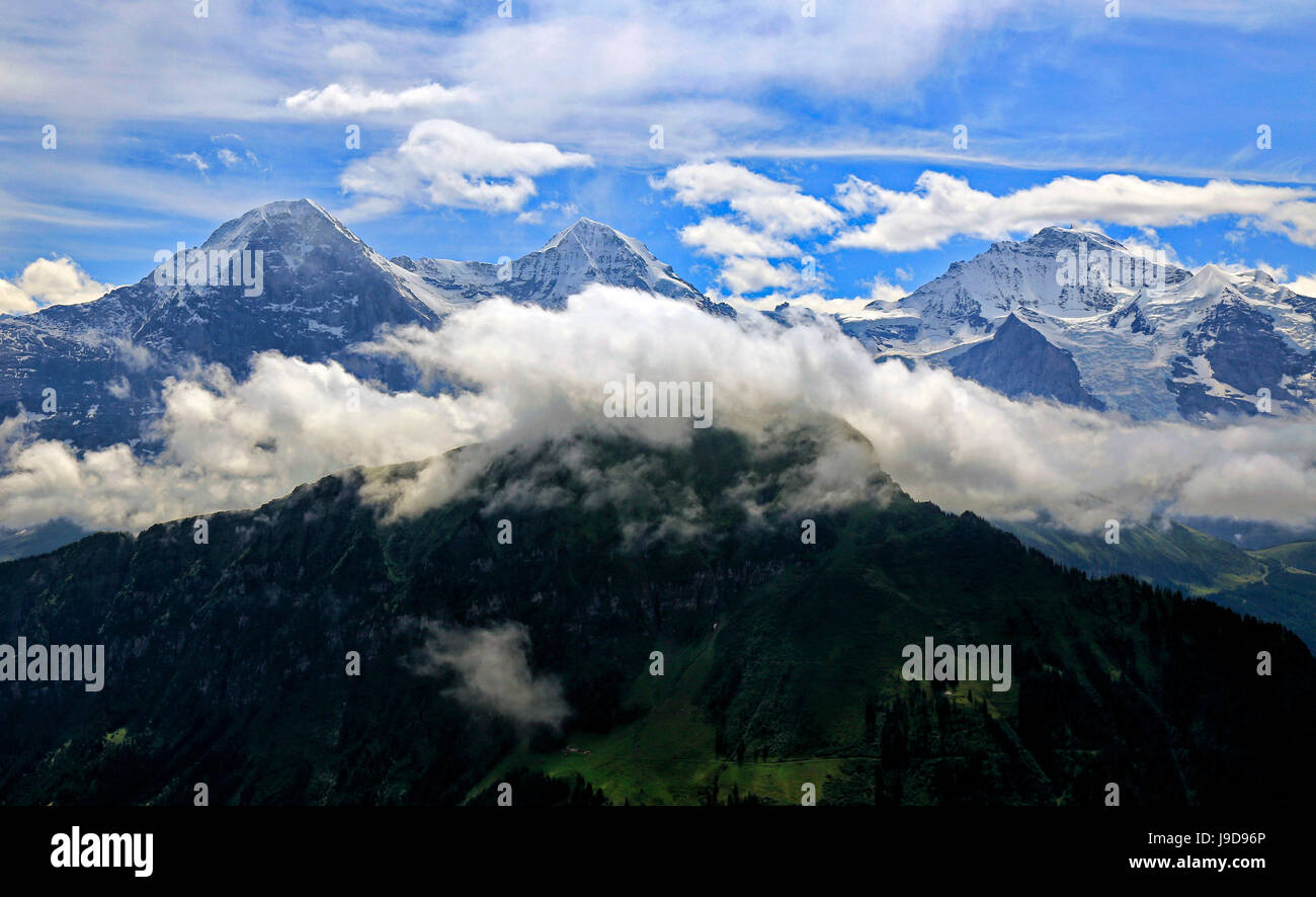 Monch, Eiger und Jungfrau, gesehen von Schynige Platte, Berner Oberland, Kanton Bern, Schweiz, Europa Stockfoto