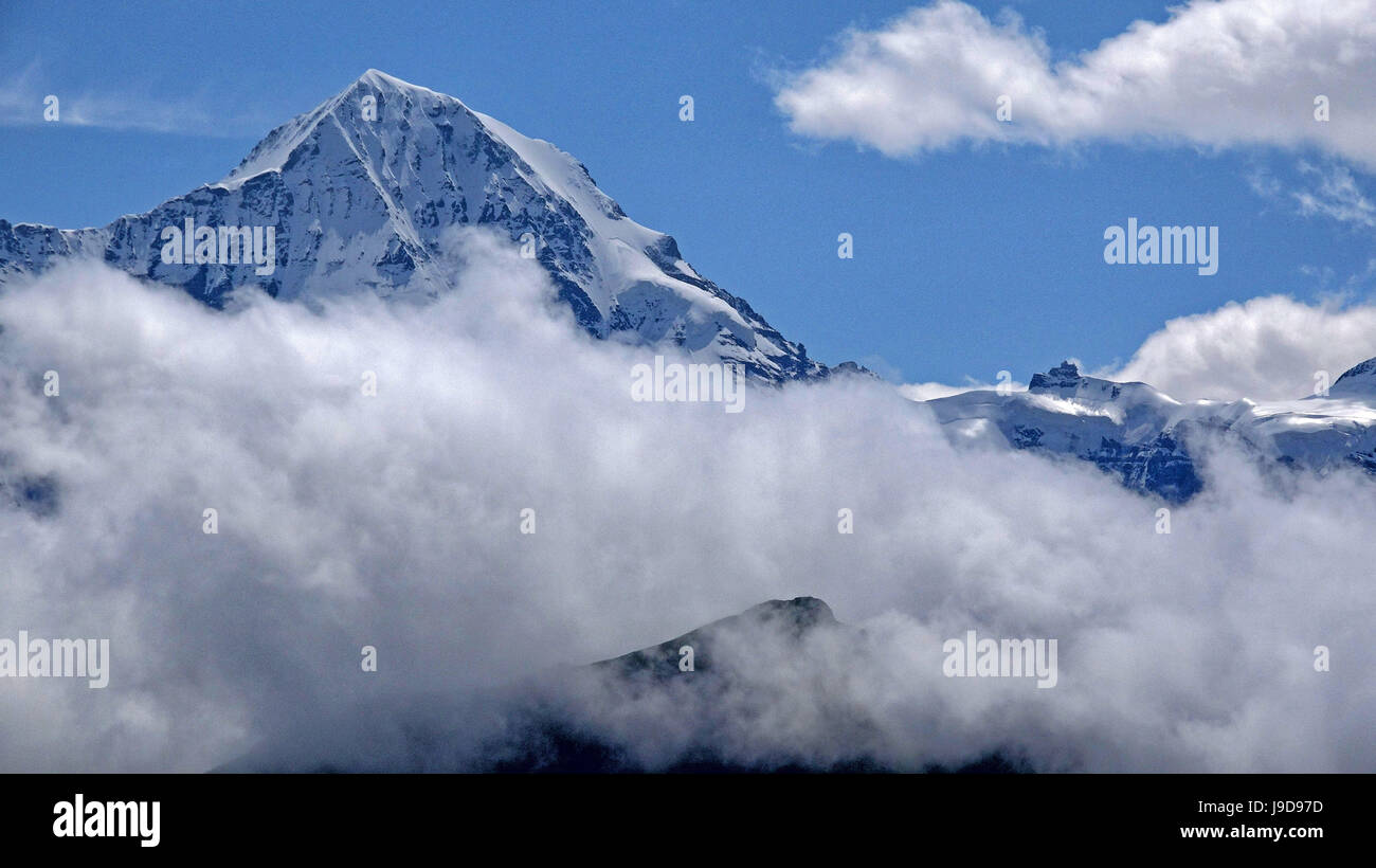 Jungfraujoch und Monch, Grindelwald, Berner Oberland, Kanton Bern, Schweiz, Europa Stockfoto