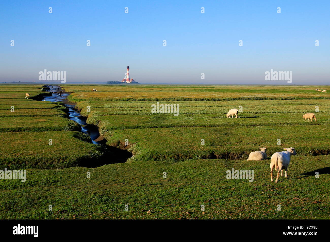 Leuchtturm im Nationalpark Wattenmeer, Westerhever, Schleswig-Holstein, Deutschland, Europa Stockfoto