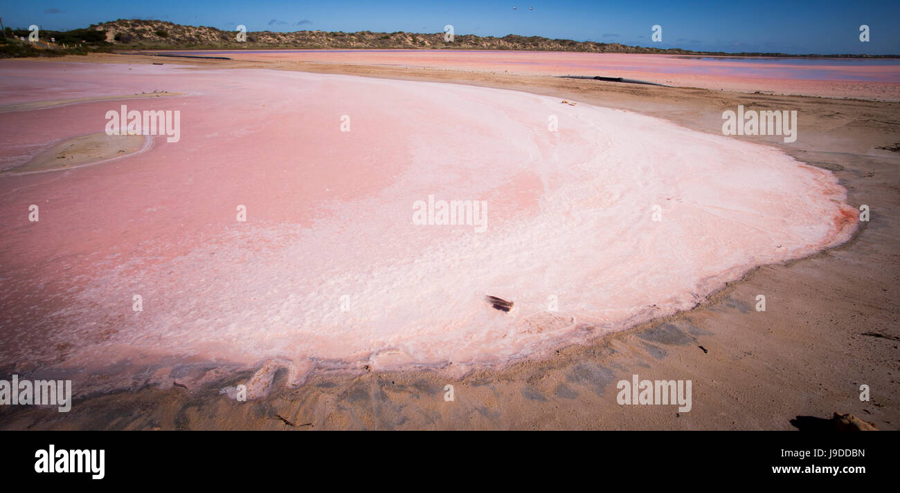 Hutt Lagune Pink Lake Australien Stockfoto