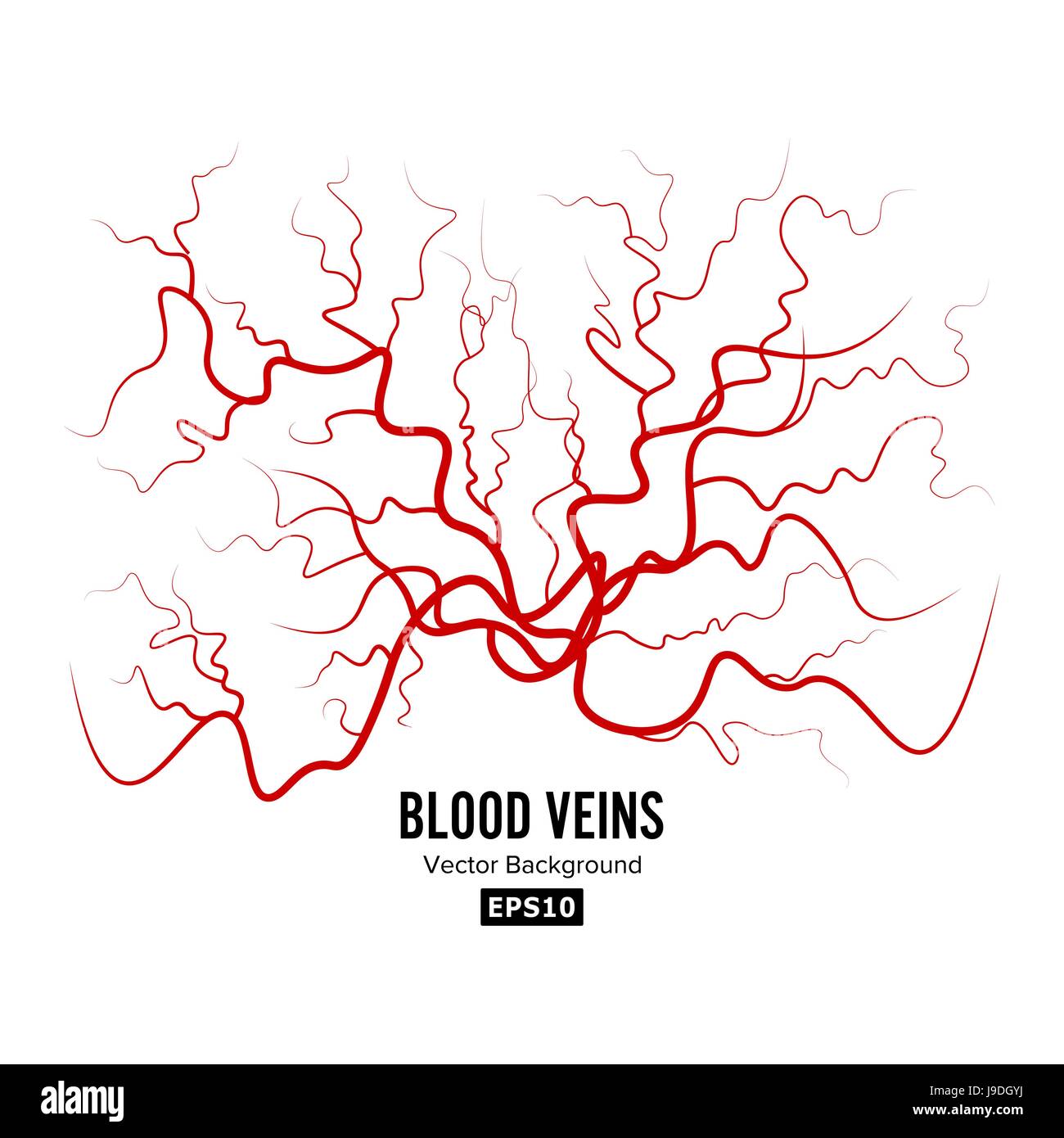 Menschlichem Blut Adern Vektor. Roten Blutgefäße Design. Illustration, Isolated On White Background Stock Vektor