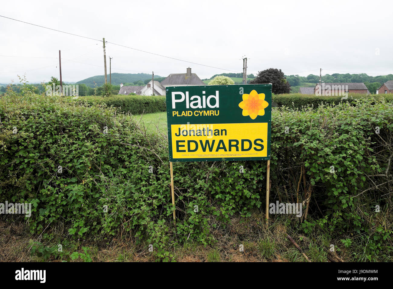 Plaid Cymru 2017 Wahlplakat für Jonathan Edwards in die walisische Landschaft Llanwrda, Carmarthenshire Wales UK KATHY DEWITT Stockfoto