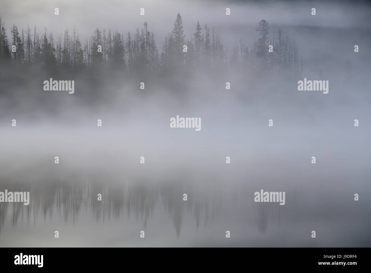 Nebel über Lake Stanley in den Sägezahn Bergen von Idaho. USA Stockfoto