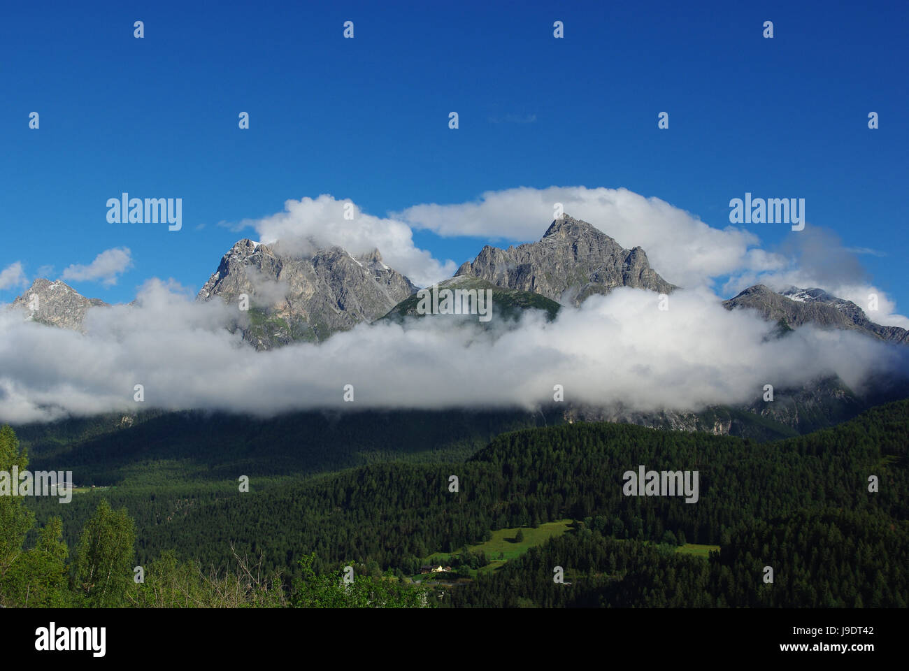 Baum, Felsen, Gebirge, hohe Berge, Berg, Wald, blau, Baum, Stockfoto
