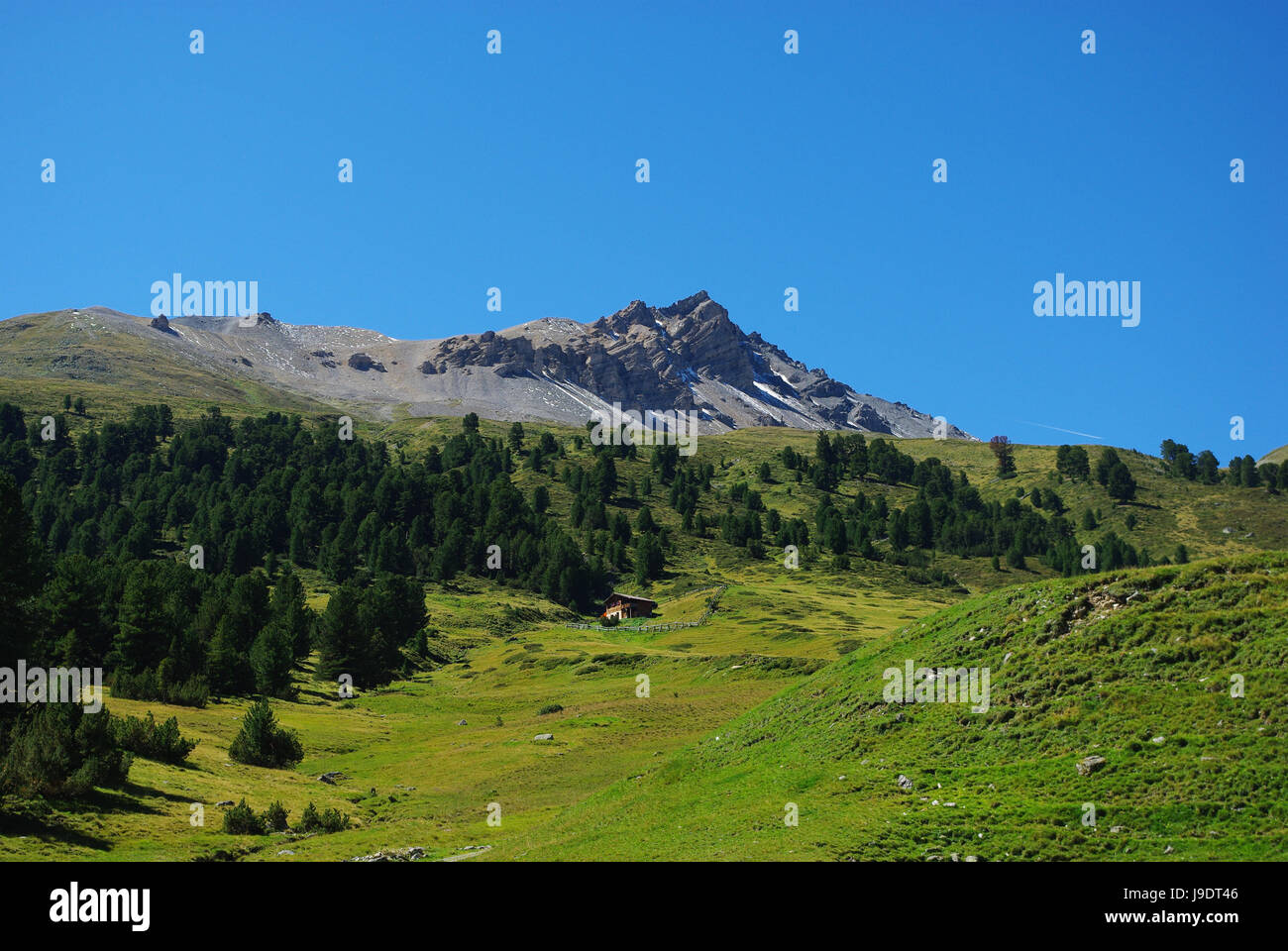 einsame Hütte, Wald und schönen Schweizer Alpen in der Nähe von Piz Sesvenna, Schweiz Stockfoto