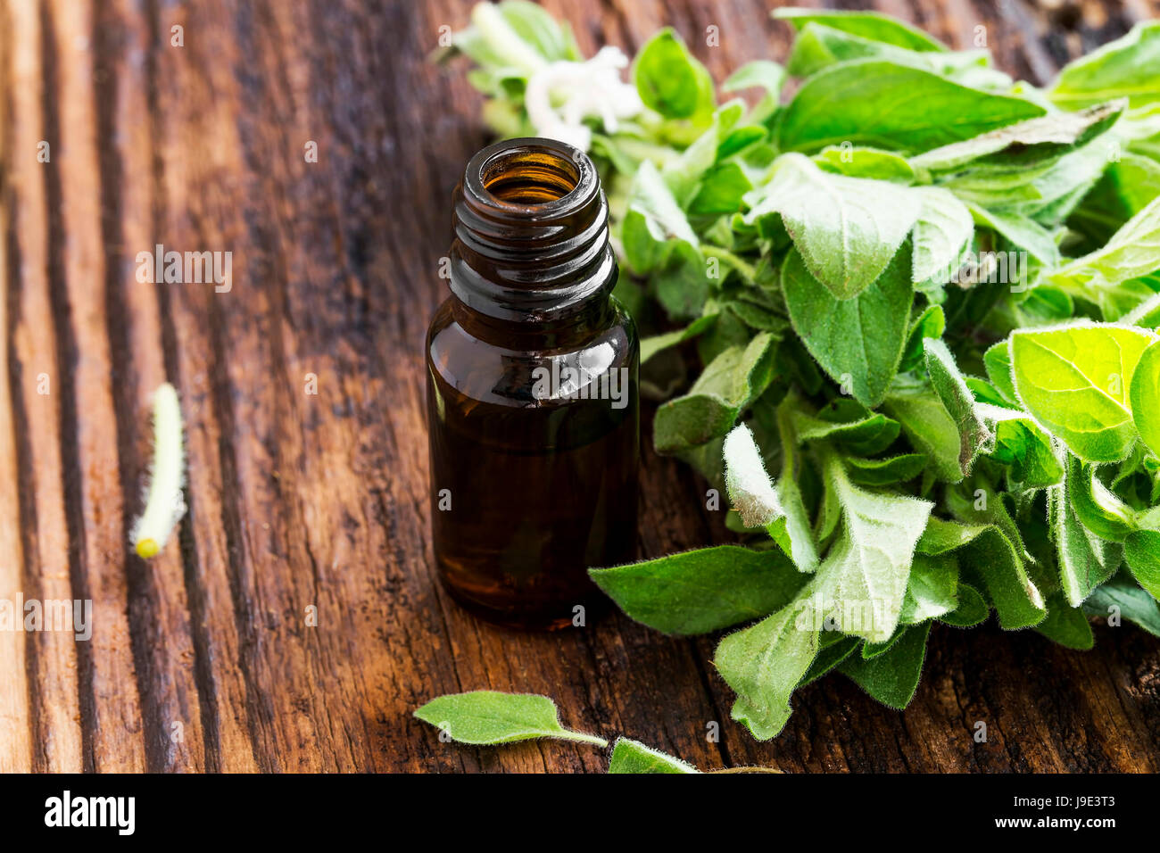 Salbeiöl Flasche mit Salbeiblättern auf Holzbrett, alternative Medizin Stockfoto