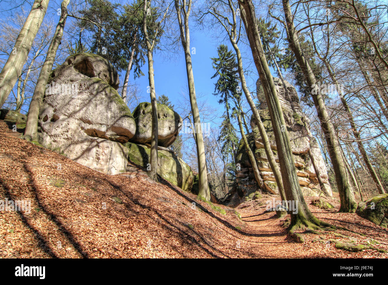 Felsen im Böhmischen Paradies - das Böhmische Paradies ist das Naturgebiet geschützt. Es wurde erklärt, im Jahre 1955 wurde das erste Naturschutzgebiet in der Tschechischen Repub Stockfoto