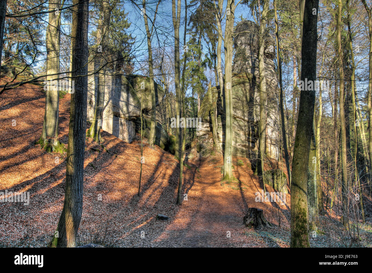 Waldlandschaft im Böhmischen Paradies, Tschechische Republik Stockfoto