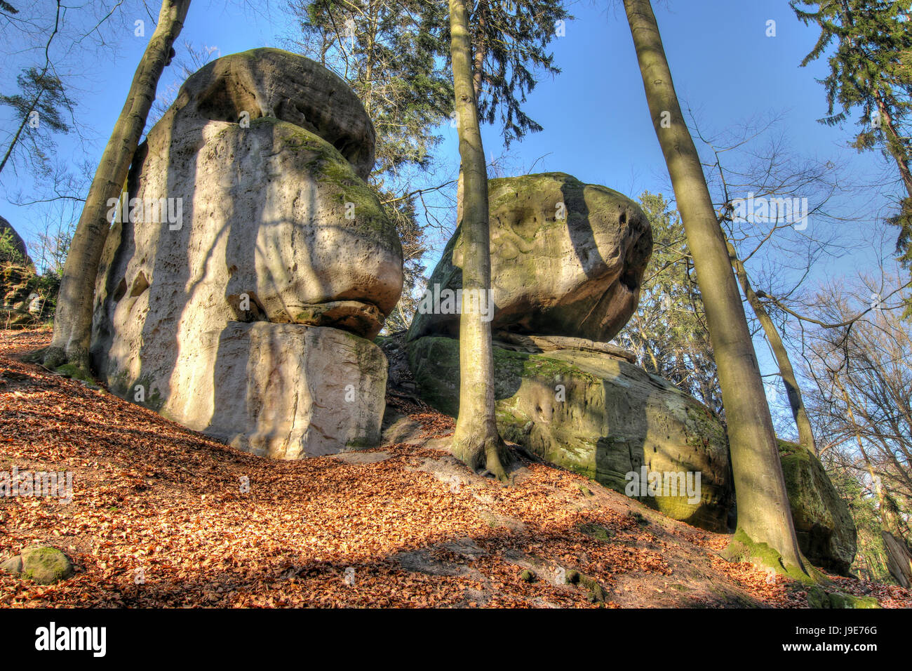 Bizarre Felsen in den Wäldern im Böhmischen Paradies Stockfoto