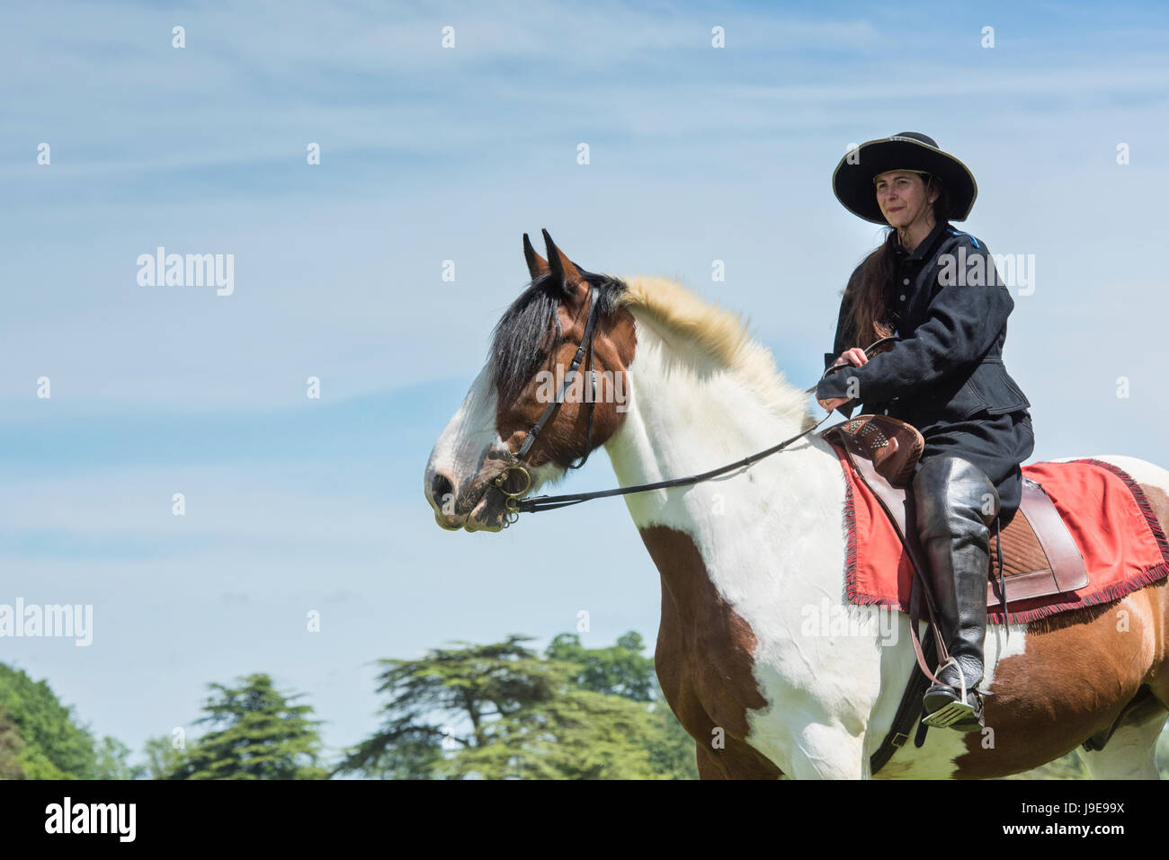 Kavalier zu Pferd auf einem Sealed Knot Reenactment-Event. Charlton Park, Malmesbury, Wiltshire, UK Stockfoto