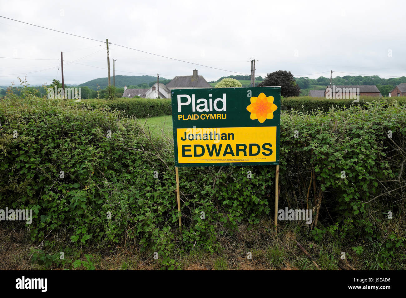 Plaid Cymru 2017 Wahlplakat für Jonathan Edwards in die walisische Landschaft Llanwrda, Carmarthenshire Wales UK KATHY DEWITT Stockfoto