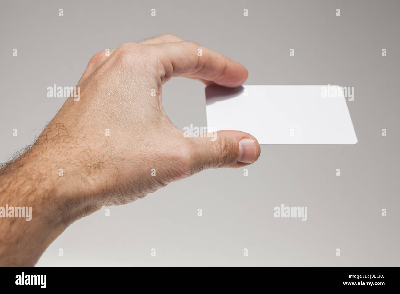 Männliche Hand mit weiße leere Karte auf graue Wand Hintergrund, Closeup Studio Foto mit selektiven Fokus Stockfoto