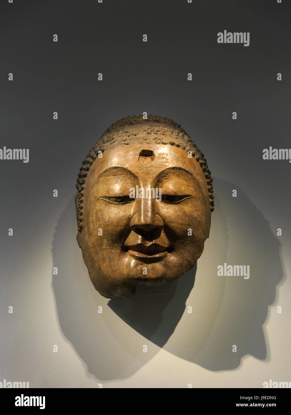 Kopf des Buddha aus dem nördlichen Qi Dynastie Chinas auf Anzeige, V&A Museum, London Stockfoto