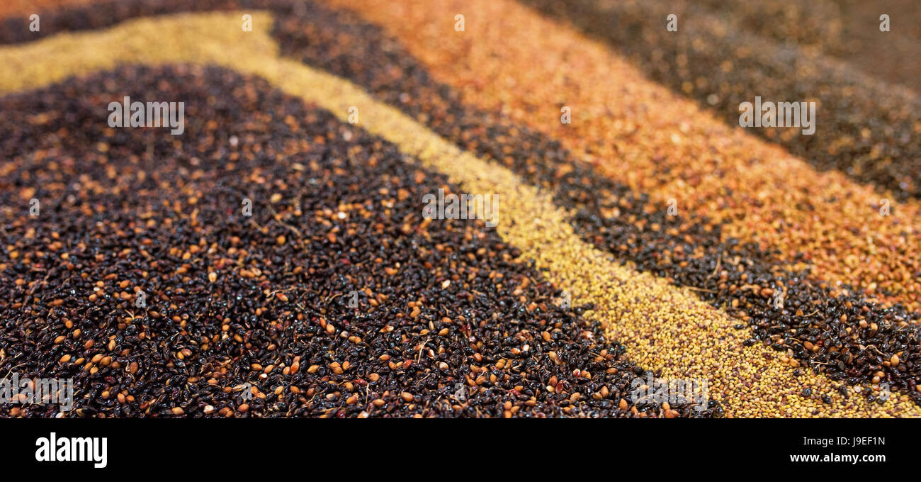 Getreide Getreide Anordnung als abstrakten Hintergrund, bunte Samen Textur Stockfoto