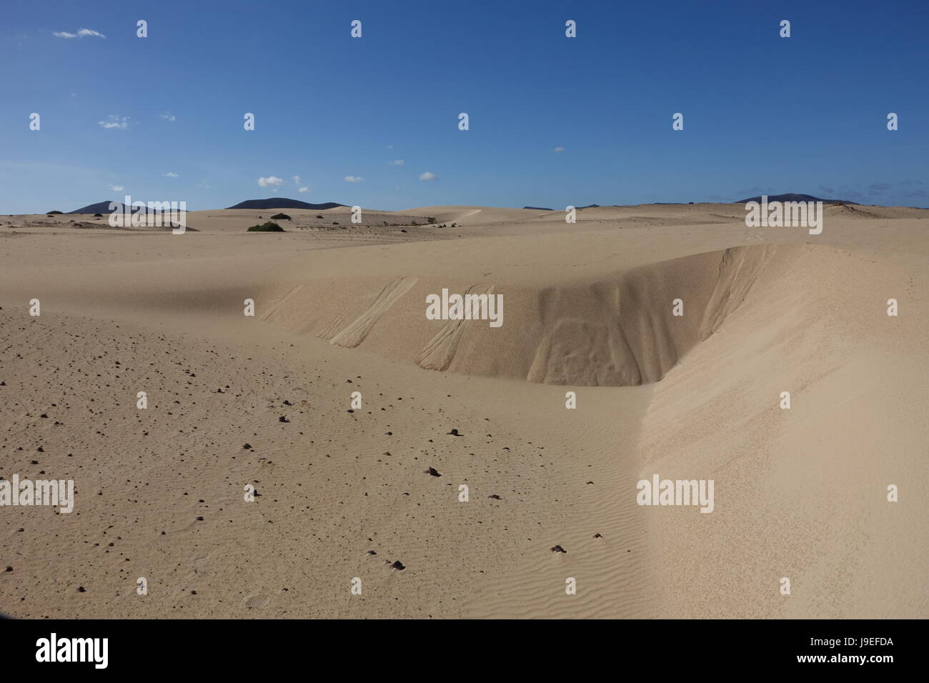 Sand Muster im Naturpark in Corralejo Kanaren Spanien Stockfoto
