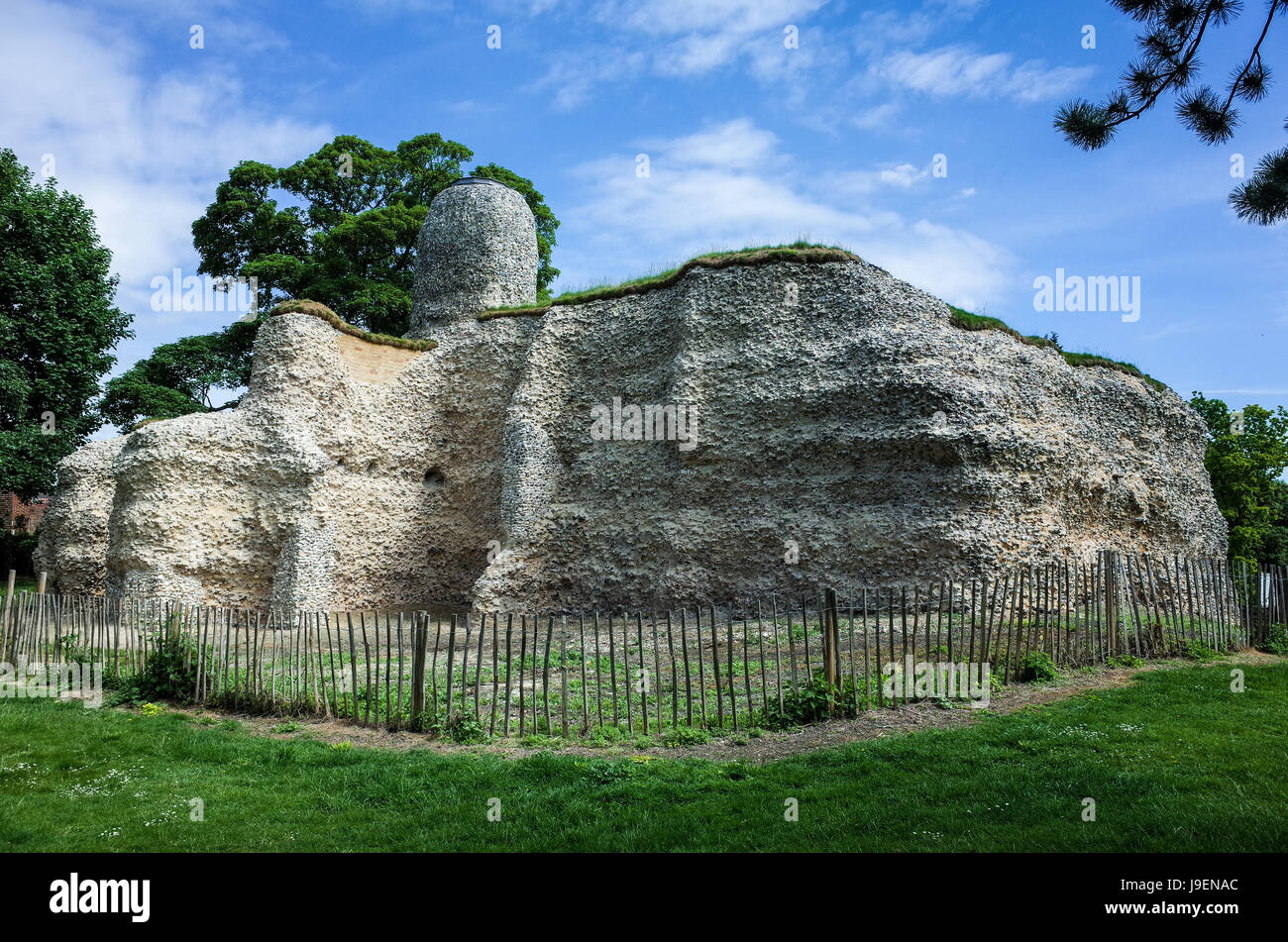 Die Überreste von Walden Burg in Saffron Walden, Essex UK. Es wurde zwischen 1141 und 1143 von Geoffrey de Mandeville während einer Periode der Unruhen gebaut Stockfoto