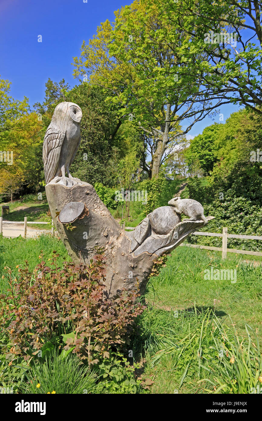 Eule und Maus Skulptur geschnitzt in Baumstumpf von Mike Burns, Hollingworth Lake, Littleborough Stockfoto