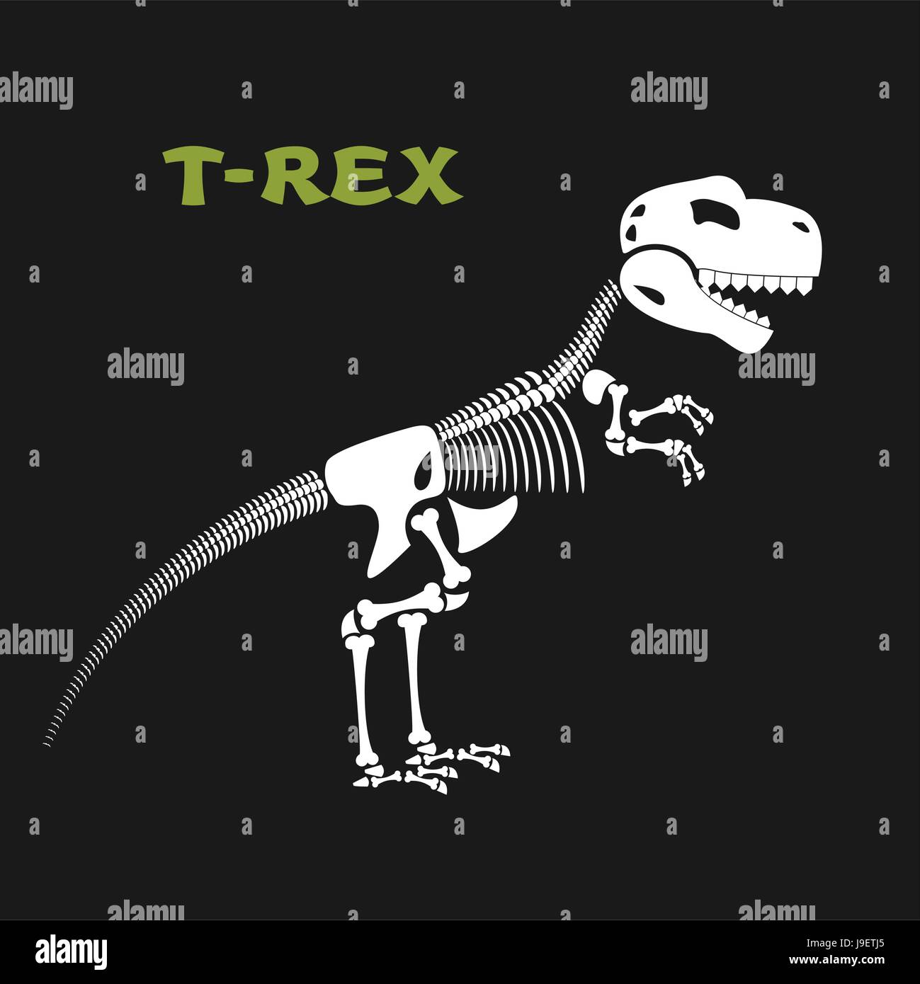 Totenkopf Tyrannosaurus Rex groß Dinosaurier Schädel Skelett Fossilien T-Rex