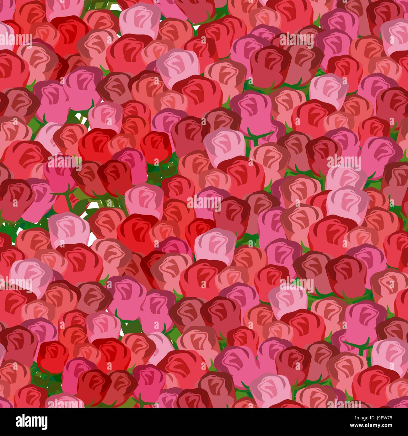 Rote und rosa Rosen Musterdesign. Vektor floral Hintergrund Rosenknospen. Stock Vektor