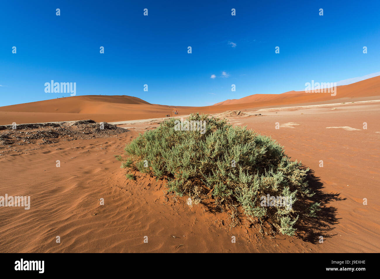 Namibia, Sossusvlei Stockfoto