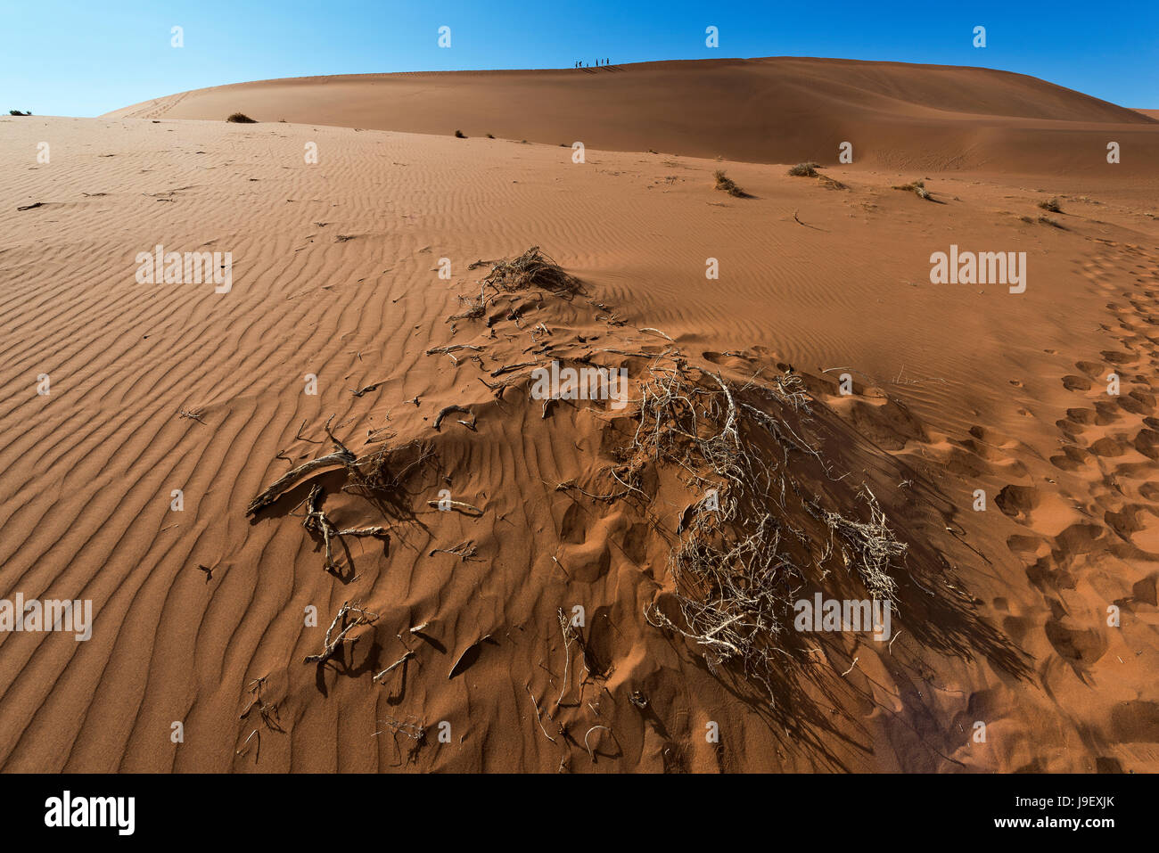 Namibia, Sossusvlei Stockfoto