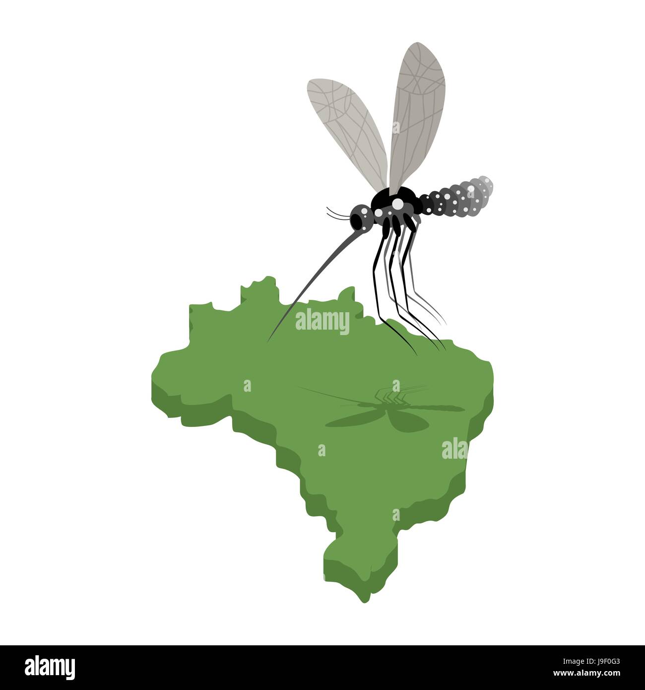Mücke und Karte von Brasilien. Zika-Virus in Brasilien. Mosquito angegriffen Brasilien. Illustration für epidemische Zika. Zika Krankheit. Große Moskito Stock Vektor