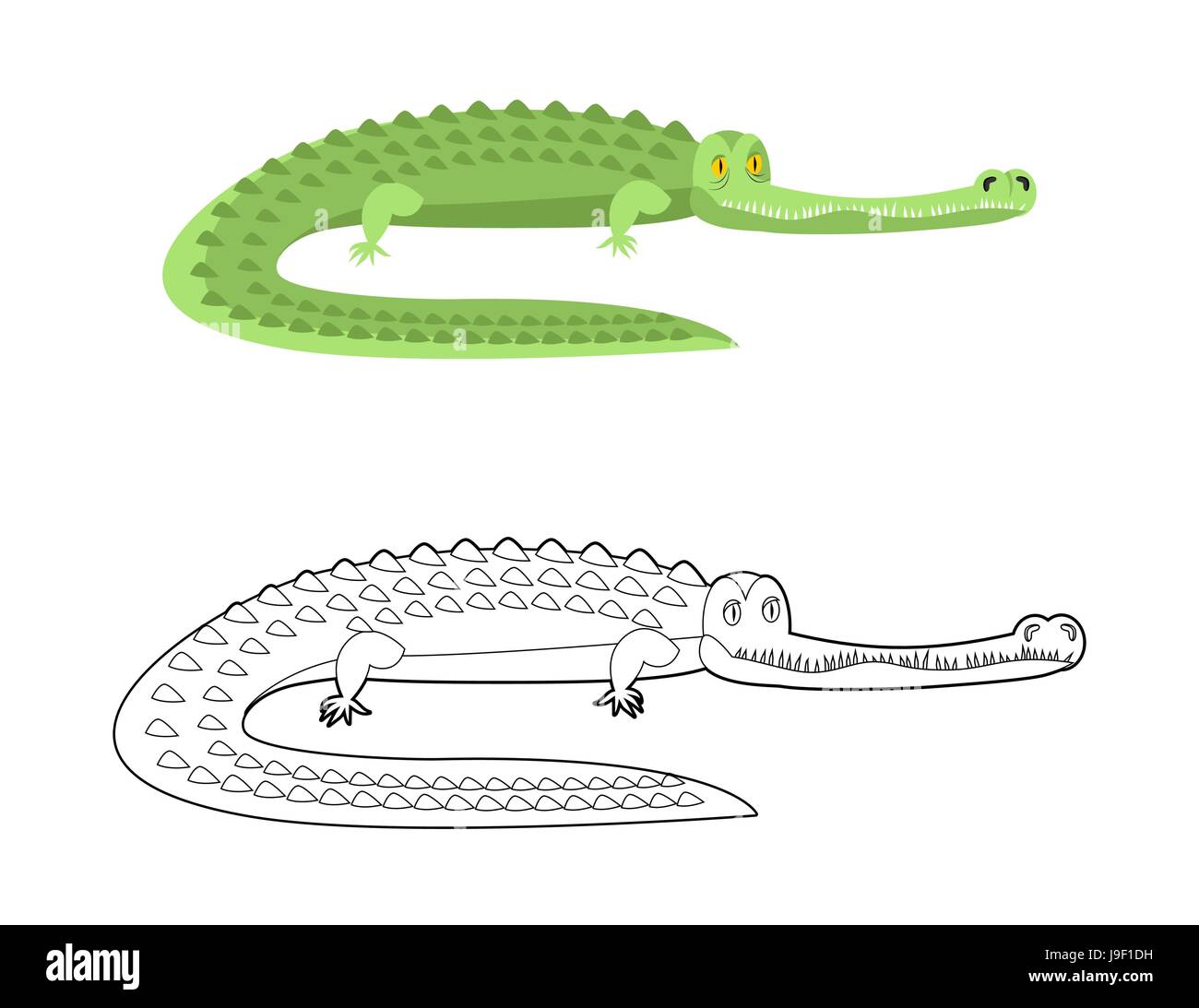 Krokodil-Malbuch. Gute Kaiman. Wildes Tier. Grüne Reptil mit großen Zähnen. Alligator in linearen Stil. Großes Wasser Reptilien. Große afrikanische predato Stock Vektor