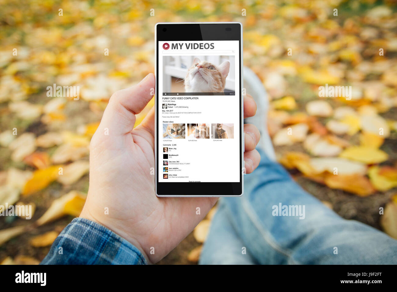 Mann im Park Katzenvideos online ansehen. Alle Bildschirm-Grafiken bestehen. Stockfoto