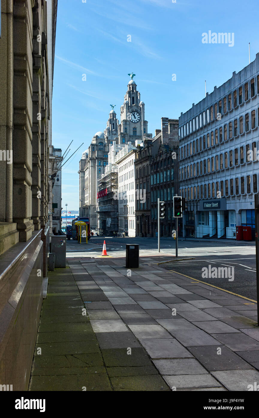 Liver Buildings und Water Street, Liverpool Stockfoto