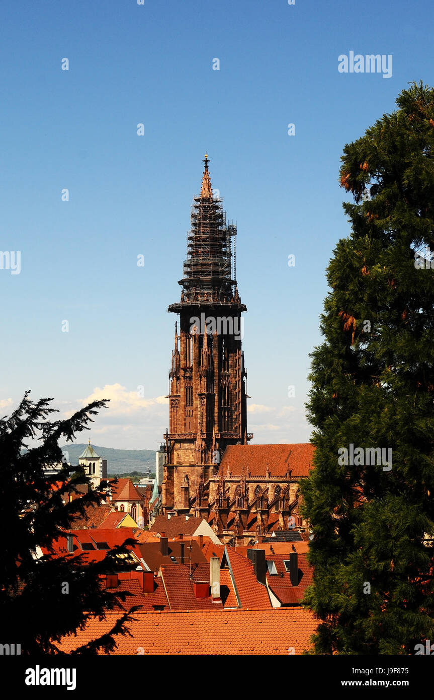 Freiburger Münster Stockfoto